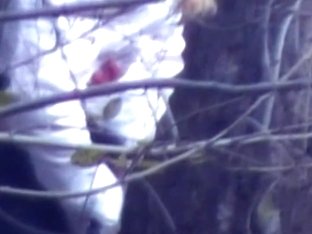 Public Voyeur Captures A Sexy Girl Peeing In The Woods