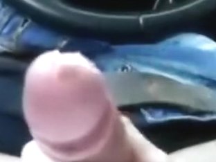 Favourable Mate Getting Sucked In The Car