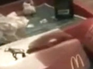 Public fisting inside McDonalds