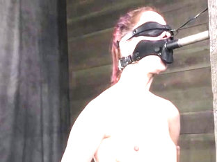 Restrained Gagged Sub Toyed By Maledom