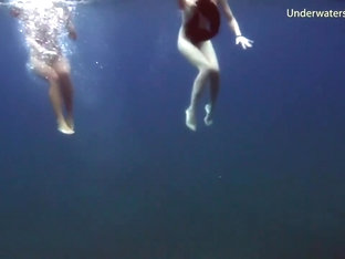 Sea Adventures On Tenerife Underwater