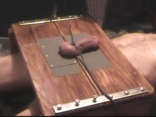 Cock Torture In Trample Box