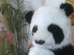 Striptease And Sexy Fuck For Shy Panda