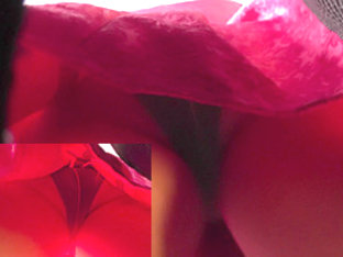 The Best Upskirt Film Ever With Lonely Bombshell