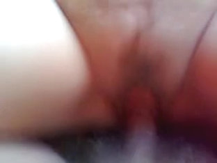 Deep Wild Pussy Dicking At Home