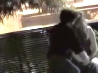 Voyeur Tapes A Girl Riding Her BF Upskirt On A Bench In The Park
